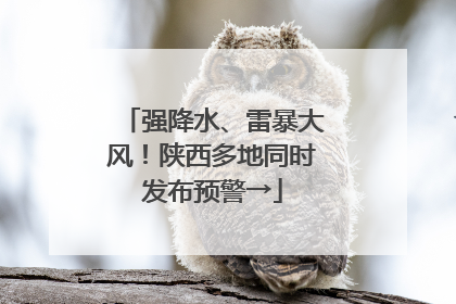 强降水、雷暴大风！陕西多地同时发布预警→