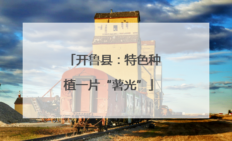 开鲁县：特色种植一片“薯光”