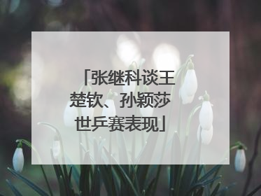 张继科谈王楚钦、孙颖莎世乒赛表现