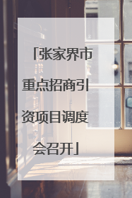 张家界市重点招商引资项目调度会召开