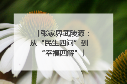 张家界武陵源：从“民生四问”到“幸福四解”