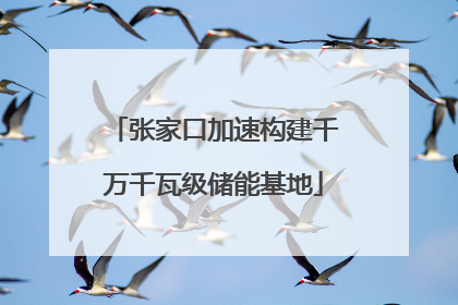 张家口加速构建千万千瓦级储能基地