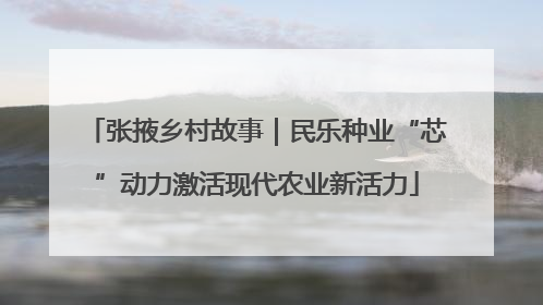 张掖乡村故事｜民乐种业“芯”动力激活现代农业新活力