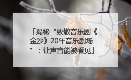 揭秘“致敬音乐剧《金沙》20年音乐剧场”：让声音能被看见