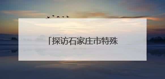 探访石家庄市特殊教育学校：他们的梦想，一样远大