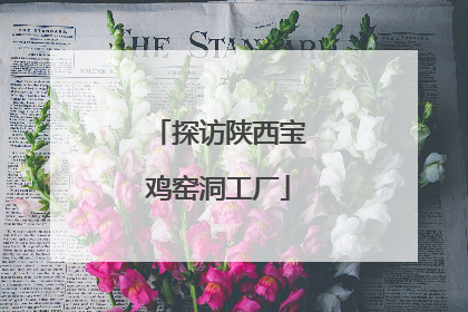 探访陕西宝鸡窑洞工厂