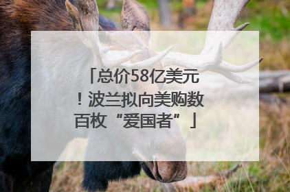 总价58亿美元！波兰拟向美购数百枚“爱国者”