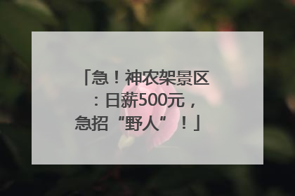 急！神农架景区：日薪500元，急招“野人”！