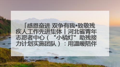 感恩奋进 双争有我•致敬残疾人工作先进集体丨河北省青年志愿者中心（“小橘灯”助残接力计划实施团队）：用温暖陪伴，守护特殊孩子成长
