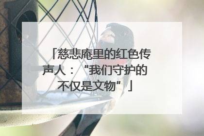 慈悲庵里的红色传声人：“我们守护的不仅是文物”
