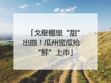 戈壁棚里“甜”出圈！瓜州蜜瓜抢“鲜”上市