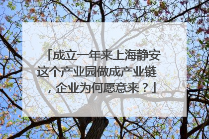 成立一年来上海静安这个产业园做成产业链，企业为何愿意来？
