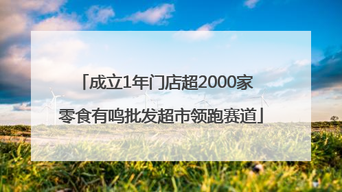 成立1年门店超2000家 零食有鸣批发超市领跑赛道