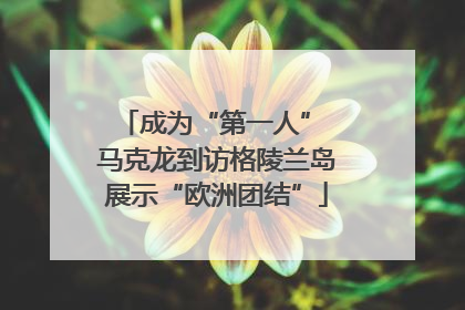 成为“第一人” 马克龙到访格陵兰岛展示“欧洲团结”
