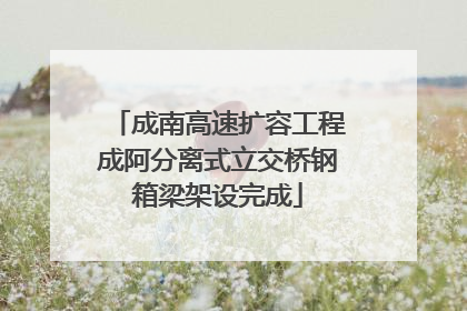 成南高速扩容工程成阿分离式立交桥钢箱梁架设完成