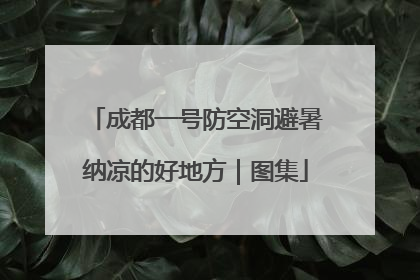 成都一号防空洞避暑纳凉的好地方｜图集