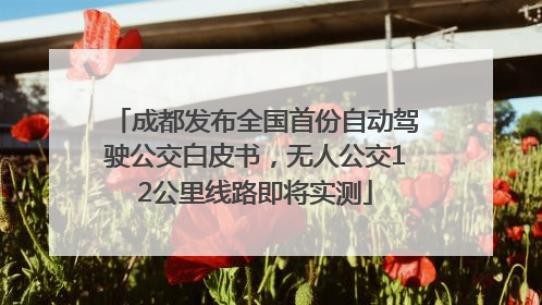 成都发布全国首份自动驾驶公交白皮书，无人公交12公里线路即将实测