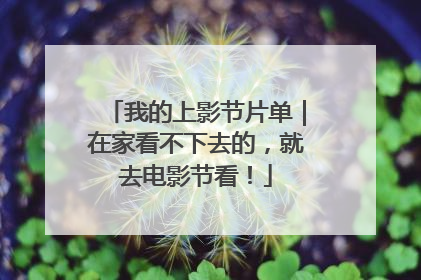 我的上影节片单｜在家看不下去的，就去电影节看！