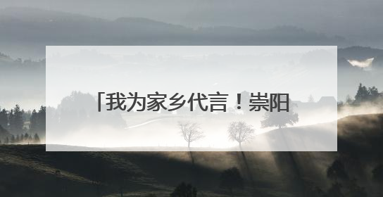 我为家乡代言！崇阳评选一批“小小推介官”“红领巾讲解员”