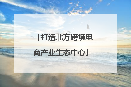 打造北方跨境电商产业生态中心