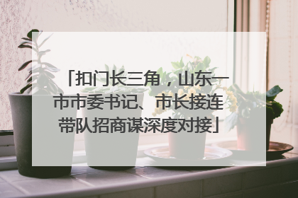 扣门长三角，山东一市市委书记、市长接连带队招商谋深度对接
