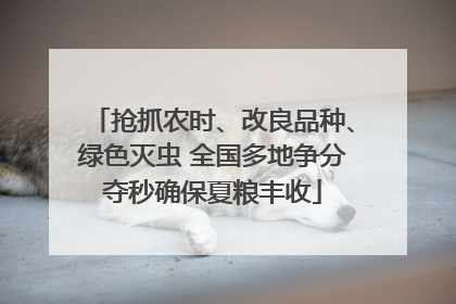 抢抓农时、改良品种、绿色灭虫 全国多地争分夺秒确保夏粮丰收