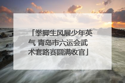 拳脚生风展少年英气 青岛市六运会武术套路赛圆满收官