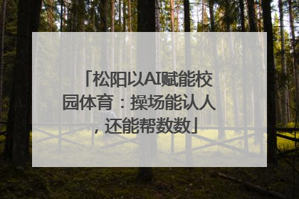 松阳以AI赋能校园体育：操场能认人，还能帮数数
