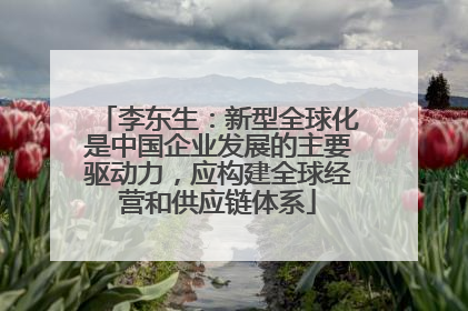李东生：新型全球化是中国企业发展的主要驱动力，应构建全球经营和供应链体系