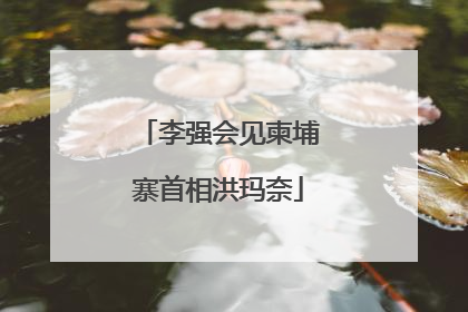 李强会见柬埔寨首相洪玛奈