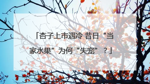 杏子上市遇冷 昔日“当家水果”为何“失宠”？