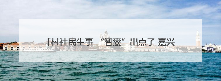 村社民生事 “智囊”出点子 嘉兴市秀洲区推行AI“民情一本账”