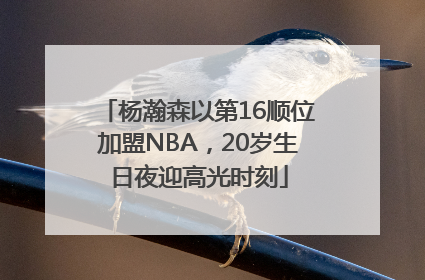 杨瀚森以第16顺位加盟NBA，20岁生日夜迎高光时刻