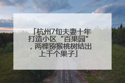杭州7旬夫妻十年打造小区“百果园”，两棵猕猴桃树结出上千个果子