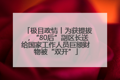极目政情丨为获提拔，“80后”副区长送给国家工作人员巨额财物被“双开”