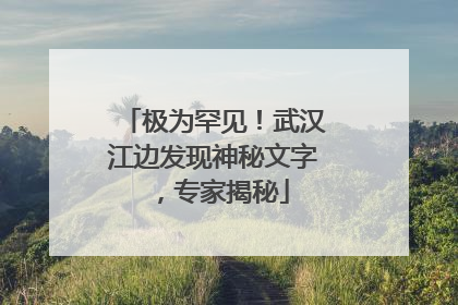 极为罕见！武汉江边发现神秘文字，专家揭秘