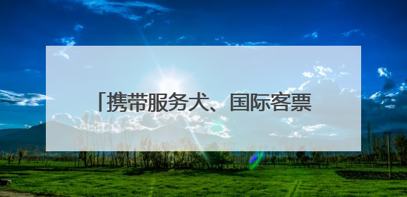 携带服务犬、国际客票预订……鸿蒙版中国国航让更多用户心愿成真