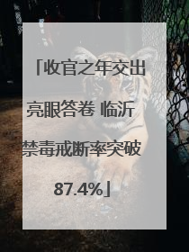 收官之年交出亮眼答卷 临沂禁毒戒断率突破87.4%