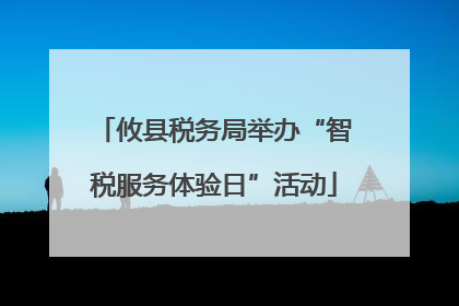 攸县税务局举办“智税服务体验日”活动