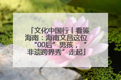 文化中国行丨看鉴海南：海南文昌这位“00后”男孩，“非遗跨界秀”走起
