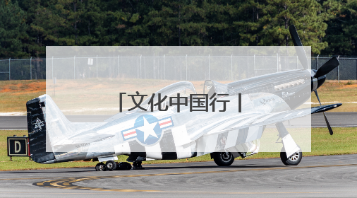 文化中国行丨山东巨野：工笔画绽放致富花