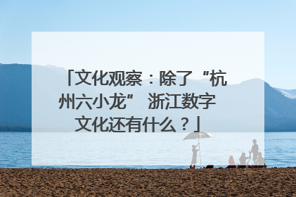 文化观察：除了“杭州六小龙” 浙江数字文化还有什么？