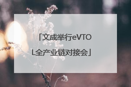 文成举行eVTOL全产业链对接会
