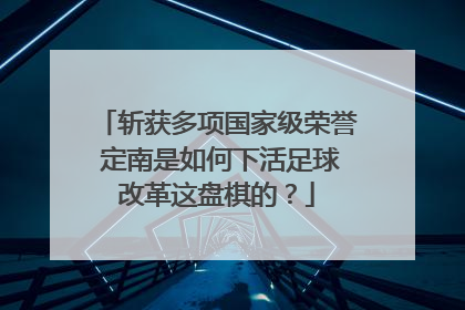 斩获多项国家级荣誉 定南是如何下活足球改革这盘棋的？