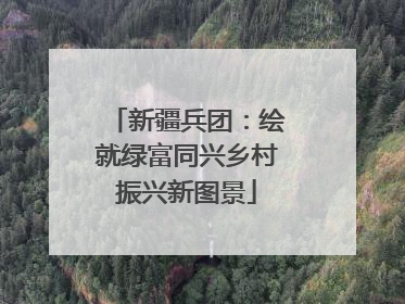 新疆兵团：绘就绿富同兴乡村振兴新图景
