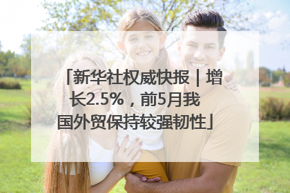 新华社权威快报｜增长2.5%，前5月我国外贸保持较强韧性