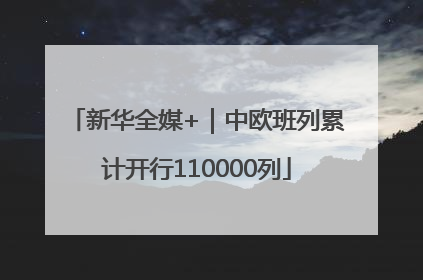 新华全媒+｜中欧班列累计开行110000列