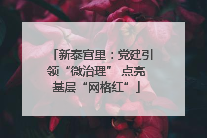 新泰宫里：党建引领“微治理” 点亮基层“网格红”