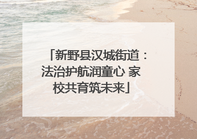 新野县汉城街道：法治护航润童心 家校共育筑未来