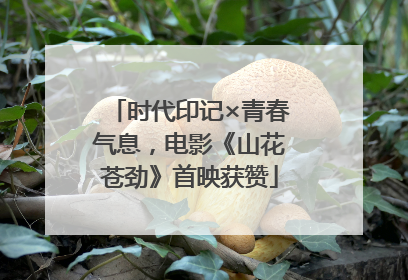 时代印记×青春气息，电影《山花苍劲》首映获赞